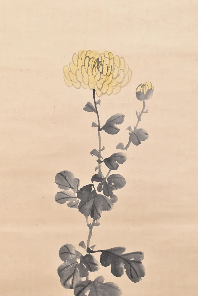 松村景文「菊花之図」に描かれた菊花の本紙