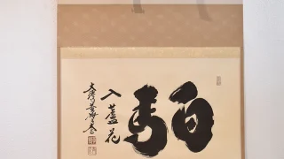 小林太玄 書「白馬入蘆花」掛け軸全体